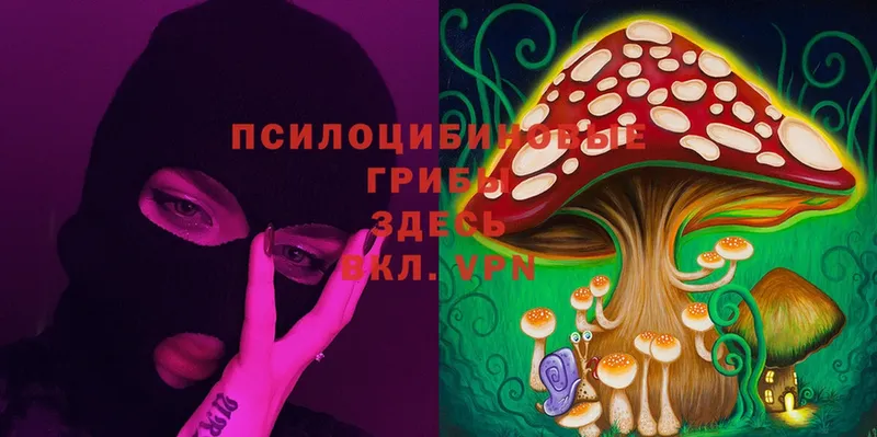 Псилоцибиновые грибы Magic Shrooms  Новосибирск 